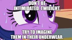 Size: 888x499 | Tagged: safe, artist:megalobronia, edit, edited screencap, imported from derpibooru, screencap, twilight sparkle, it's about time, season 2, caption, close-up, image macro, imgflip, meme, oh no he's hot, spongebob squarepants, squilliam returns, sweat, text, we don't normally wear clothes
