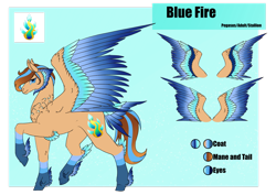 Size: 1920x1358 | Tagged: safe, artist:oneiria-fylakas, imported from derpibooru, oc, oc only, oc:blue fire, pegasus, pony, colored wings, male, multicolored wings, reference sheet, solo, stallion, tail feathers, wings