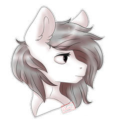 Size: 1200x1300 | Tagged: safe, artist:diantrex, imported from derpibooru, oc, oc only, oc:meel, earth pony, pony, bust, long mane, looking back, male, portrait, simple background, solo, transparent background