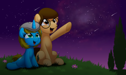Size: 5000x2977 | Tagged: safe, artist:jhayarr23, imported from derpibooru, oc, oc only, earth pony, pony, unicorn, duo, shooting star, stars