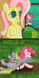 Size: 3000x6000 | Tagged: safe, artist:a-jaller, imported from derpibooru, derpy hooves, fluttershy, pinkie pie, earth pony, pegasus, pony, abuse, biting, derpybuse, missing wing, one winged pegasus, this will end in cupcakes, wing bite
