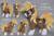 Size: 1307x871 | Tagged: safe, artist:wdeleon, imported from derpibooru, oc, oc only, oc:sea spray, earth pony, pony, amputee, coat markings, commission, craft, custom, female, filly, irl, multiple angles, photo, plushie, smiling, socks (coat markings), solo, standing, toy