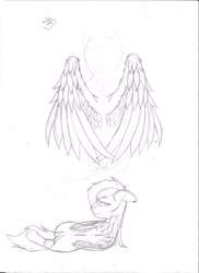 Size: 1700x2338 | Tagged: safe, artist:klaifferon, rainbow dash, pegasus, pony, detailed wings, looking at you, looking back, looking back at you, lying down, monochrome, simple background, sketch, smiling, spread wings, traditional art, wings