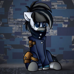 Size: 3000x3000 | Tagged: safe, artist:kranonetwork, imported from derpibooru, oc, oc only, pony, zebra, clothes, coat, cute, high res, pouch, pouches, puppy dog eyes, sitting, solo