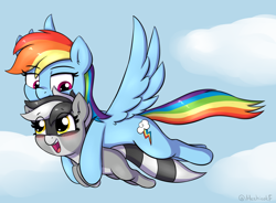 Size: 2304x1696 | Tagged: safe, artist:heretichesh, imported from derpibooru, rainbow dash, oc, oc:bandy cyoot, hybrid, pegasus, pony, raccoon, raccoon pony, birthday gift, blushing, cloud, duo, female, filly, flying, happy, mare, wings
