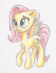 Size: 742x957 | Tagged: safe, artist:itchystomach, imported from derpibooru, fluttershy, pegasus, pony, chest fluff, female, mare, pencil drawing, raised hoof, solo, spread wings, standing, three quarter view, traditional art, wings