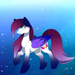 Size: 1080x1080 | Tagged: safe, artist:tessa_key_, imported from derpibooru, oc, oc only, pegasus, pony, coat markings, feathered fetlocks, pegasus oc, raised hoof, smiling, socks (coat markings), solo, wings