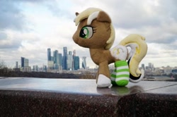 Size: 640x426 | Tagged: safe, imported from derpibooru, oc, oc:unity (brony fair), irl, moscow, photo, plushie, russia