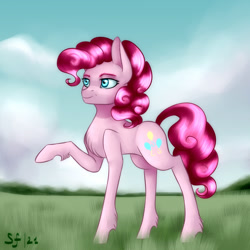 Size: 2000x2000 | Tagged: safe, artist:brilliant-luna, imported from derpibooru, pinkie pie, earth pony, pony, cloud, female, grass, high res, leg fluff, raised hoof, solo, solo female