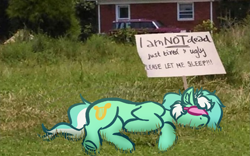 Size: 4000x2500 | Tagged: safe, artist:witchtaunter, imported from derpibooru, lyra heartstrings, pony, unicorn, ear fluff, female, grass, high res, irl, l.u.l.s., lying down, mare, meme, outdoors, photo, png, ponies in real life, ponified animal photo, ponified meme, sign, sleep mask, sleeping, solo