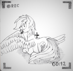 Size: 2237x2184 | Tagged: safe, artist:harleneap, imported from derpibooru, rainbow dash, pegasus, pony, grooming, high res, monochrome, pencil drawing, preening, recording, solo, traditional art