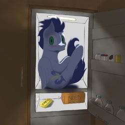 Size: 1500x1500 | Tagged: safe, artist:shoophoerse, imported from derpibooru, soarin', pegasus, pony, blushing, bread, cheese, folded wings, food, looking at you, milk, pony in fridge, refrigerator, solo, wings