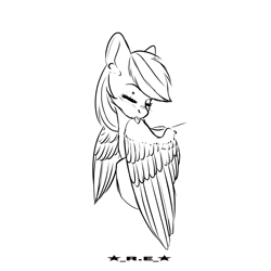 Size: 3500x3500 | Tagged: safe, artist:rise_of_evil_69, imported from derpibooru, rainbow dash, pegasus, pony, black and white, female, females only, grayscale, grooming, mare, monochrome, raised hoof, simple background, sketch, solo, white background, wings