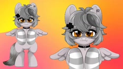 Size: 1280x720 | Tagged: safe, artist:techycutie, imported from derpibooru, oc, oc only, oc:snuffy, hybrid, pegasus, pony, raccoon, raccoon pony, bipedal, choker, clothes, collar, cute, cute little fangs, ear piercing, fangs, female, gradient background, live2d, mare, piercing, ponified, socks, solo, standing, striped socks, vtuber