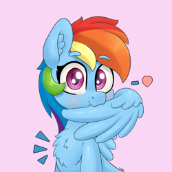 Size: 4000x4000 | Tagged: safe, artist:yelowcrom, imported from derpibooru, rainbow dash, pegasus, pony, chest fluff, cute, dashabetes, ear fluff, female, grooming, looking at you, mare, preening, simple background, solo, wings