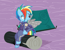 Size: 2590x1980 | Tagged: safe, anonymous artist, derpibooru exclusive, imported from derpibooru, rainbow dash, pegasus, pony, .svg available, alternate timeline, amputee, apocalypse dash, artificial wings, augmented, clothes, crystal war timeline, eye scar, eyelashes, female, grooming, log, looking back, mare, open mouth, outdoors, preening, prosthetic limb, prosthetic wing, prosthetics, scar, sitting, solo, svg, tent, vector, wings