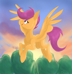 Size: 3318x3378 | Tagged: safe, artist:shamone, imported from derpibooru, apple bloom, scootaloo, sweetie belle, pegasus, pony, commission, cutie mark crusaders, female, flying, full body, looking up, mare, my little pony, older, older scootaloo, scootaloo can fly, solo, sunrise, sunset