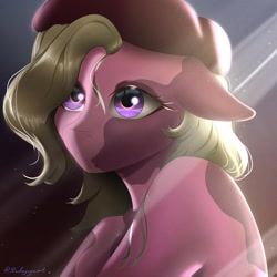 Size: 1080x1080 | Tagged: safe, artist:radiogaga.art, imported from derpibooru, oc, oc only, earth pony, pony, bust, earth pony oc, eyelashes, female, hat, mare, solo