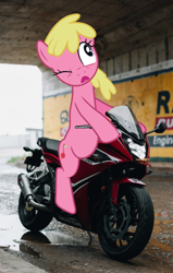 Size: 634x1000 | Tagged: safe, artist:quanno3, artist:topsangtheman, edit, imported from derpibooru, cherry berry, earth pony, pony, background pony, derp, dexterous hooves, female, irl, mare, motorcycle, one eye closed, open mouth, photo, riding, tunnel, vector