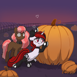 Size: 2048x2048 | Tagged: safe, artist:pfeffaroo, imported from derpibooru, oc, oc:lilith, oc:scarlet trace (coffee bean), earth pony, pony, unicorn, clothes, collar, duo, female, high res, leggings, mare, pumpkin