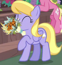 Size: 581x613 | Tagged: safe, imported from derpibooru, screencap, cloud kicker, lily, lily valley, earth pony, pegasus, pony, it isn't the mane thing about you, background pony, bouquet, cropped, female, flower, low quality, mare, mouth hold