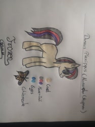 Size: 2976x3968 | Tagged: safe, artist:frozen spirit, imported from derpibooru, oc, oc only, oc:danaus plexippus, butterfly, earth pony, pony, backstory in description, female, high res, monarch butterfly, sideways image, solo, traditional art