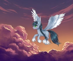 Size: 1280x1064 | Tagged: safe, artist:winnigrette, imported from derpibooru, oc, oc only, pegasus, pony, braid, cloud, commission, digital art, female, flying, green eyes, hooves, mare, scenery, sky, sky background, solo, spread wings, tail, unshorn fetlocks, wings, ych result