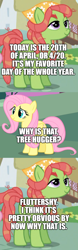 Size: 500x1612 | Tagged: safe, edit, edited screencap, imported from derpibooru, screencap, fluttershy, tree hugger, earth pony, pegasus, pony, 4/20, comic, drugs, female, mare, screencap comic, tree stoner