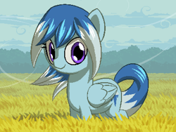 Size: 800x600 | Tagged: safe, artist:rangelost, imported from derpibooru, oc, oc only, pegasus, pony, cyoa:d20 pony, cloud, female, field, looking at you, mare, outdoors, pixel art, sky, solo, standing, windswept mane, windswept tail