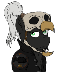 Size: 4321x4791 | Tagged: safe, artist:capt-sierrasparx, imported from derpibooru, oc, oc:blink(foe), pegasus, fallout equestria, bust, clothes, ex-raider, fallout, female, foe adventures, grumpy, helmet, jacket, mare, patch, ponytail, skull