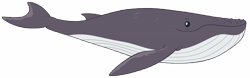 Size: 16148x5064 | Tagged: safe, artist:andoanimalia, imported from derpibooru, whale, growing up is hard to do, absurd resolution, animal, humpback whale, simple background, smiling, solo, transparent background, vector