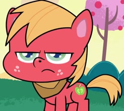 Size: 574x514 | Tagged: safe, imported from derpibooru, screencap, big macintosh, earth pony, pony, my little pony: pony life, spoiler:pony life s02e07, big macintosh is not amused, cropped, eenope, frown, g4.5, jpg, lowres, male, pony life, solo, stallion, terrorarium, unamused