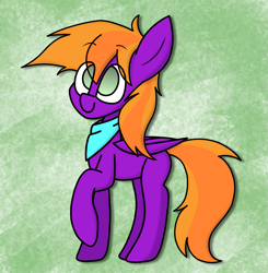 Size: 1805x1844 | Tagged: safe, artist:rainbowbacon, imported from derpibooru, oc, oc only, oc:burningstar, pegasus, pony, clothes, scarf, solo