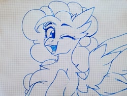 Size: 1080x810 | Tagged: safe, artist:tessa_key_, imported from derpibooru, pinkie pie, griffon, pony, bust, buts, chest fluff, ear fluff, eyelashes, graph paper, griffonized, lineart, one eye closed, solo, species swap, traditional art, wings, wink