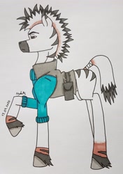 Size: 1984x2812 | Tagged: safe, artist:agdapl, imported from derpibooru, pony, zebra, bag, clothes, demoman, male, raised hoof, saddle bag, signature, solo, species swap, stallion, team fortress 2, traditional art
