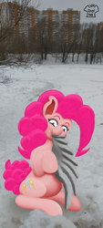 Size: 1800x4000 | Tagged: safe, artist:a-jaller, imported from derpibooru, pinkie pie, earth pony, pony, biting, implied derpy, wing bite, wings