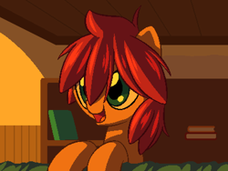Size: 800x600 | Tagged: safe, artist:rangelost, imported from derpibooru, oc, oc only, oc:trailblazer, earth pony, pony, cyoa:d20 pony, bedroom, book, bookshelf, bust, female, indoors, mare, pixel art, solo