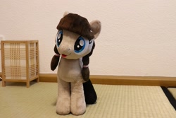 Size: 2048x1365 | Tagged: safe, imported from derpibooru, oc, oc:connie bloom, irl, photo, plushie