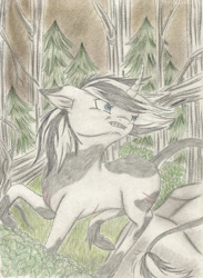 Size: 2097x2860 | Tagged: safe, artist:cindertale, imported from derpibooru, oc, oc only, pony, unicorn, forest, high res, horn, looking back, outdoors, raised hoof, solo, traditional art, tree, unicorn oc