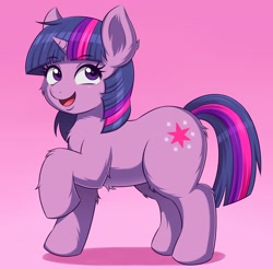 Size: 2300x2267 | Tagged: safe, artist:huitu_c, imported from derpibooru, twilight sparkle, pony, unicorn, cheek fluff, chest fluff, cute, ear fluff, female, high res, leg fluff, mare, solo, twiabetes, unicorn twilight