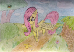 Size: 3900x2712 | Tagged: safe, artist:hofdawn, imported from derpibooru, fluttershy, pegasus, pony, colored pencil drawing, high res, nest, solo, spread wings, traditional art, tree, wings