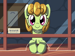 Size: 800x600 | Tagged: safe, artist:rangelost, imported from derpibooru, oc, oc only, earth pony, pony, cyoa:d20 pony, bust, female, looking at you, mare, pixel art, solo, ticket, ticket booth, train station