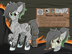 Size: 1600x1200 | Tagged: safe, artist:willoillo, imported from derpibooru, oc, oc only, oc:nassa ciprière, zebra, fallout equestria, reference sheet, skull, tribal, zebra oc