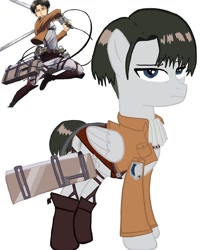 Size: 1080x1350 | Tagged: safe, artist:ponyrefaa, imported from derpibooru, human, pegasus, pony, attack on titan, clothes, crossover, duo, levi ackerman, male, ponified, simple background, stallion, white background