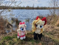 Size: 4032x3024 | Tagged: safe, artist:xeto_de, imported from derpibooru, oc, oc:lily allure, oc:wingblossom, pony, irl, nationalpark de groote peel, netherlands, photo, plushie