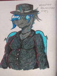Size: 3120x4160 | Tagged: source needed, useless source url, safe, artist:ianmata1998, imported from derpibooru, oc, oc:w. rhinestone eyes, anthro, changeling, changeling oc, chubby, chunkling, color, cowboy, cowboy hat, cowboyhat, cute, fat, hat, honeypot changeling, male, solo, traditional art
