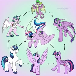 Size: 4000x4000 | Tagged: safe, artist:incendiaryboobs, artist:incendiarymoth, imported from derpibooru, shining armor, spike, twilight sparkle, alicorn, dracony, dragon, hybrid, pony, absurd resolution, ambiguous gender, draconicorn, female, fusion, fusion diagram, hexafusion, male, twilight sparkle (alicorn)