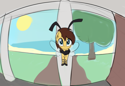 Size: 4000x2754 | Tagged: safe, artist:czu, imported from derpibooru, oc, oc only, bee, bee pony, insect, original species, pony, 30 minute art challenge, fisheye lens, high res, ponified, ponified animal photo