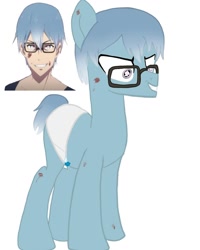 Size: 1080x1350 | Tagged: safe, alternate version, artist:ponyrefaa, imported from derpibooru, earth pony, human, pony, bust, clothes, crossover, duo, glasses, insanity, mahoushoujosite, male, ponified, simple background, stallion, white background