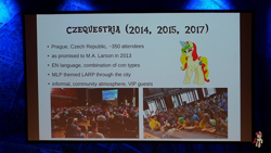 Size: 1280x720 | Tagged: safe, imported from derpibooru, oc, convention, screen, seven years of mlp conventions